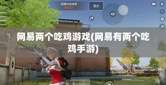 網易兩個吃雞游戲(網易有兩個吃雞手游)