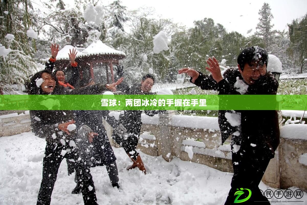 雪球:兩團冰冷的手握在手里 雪球:兩團冰冷的手握在手里