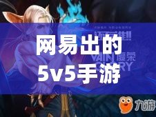 網易出的5v5手游(網易5v5推塔游戲手游)