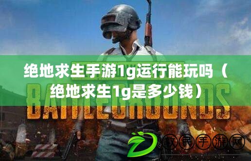 絕地求生手游1g運行能玩嗎（絕地求生1g是多少錢）