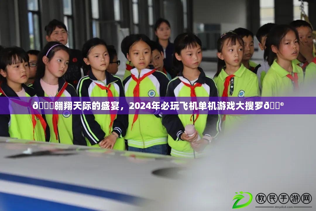 ??翱翔天際的盛宴，2024年必玩飛機單機游戲大搜羅??
