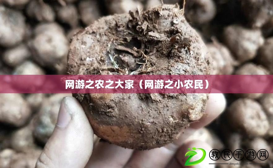 網游之農之大家（網游之小農民）