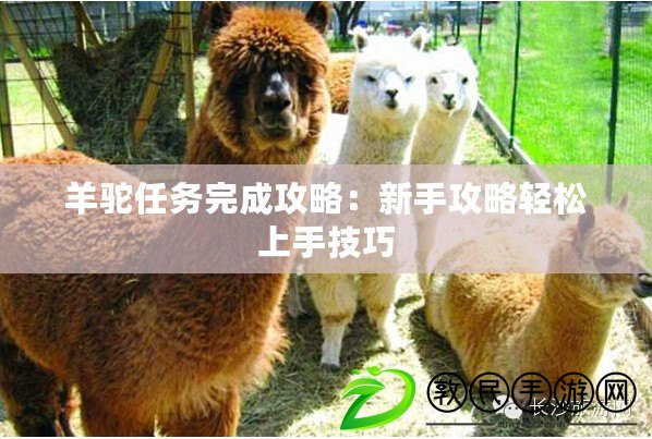 羊駝任務完成攻略：新手攻略輕松上手技巧