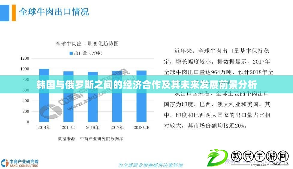韓國與俄羅斯之間的經濟合作及其未來發展前景分析