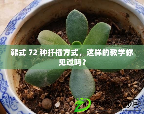 韓式 72 種扦插方式，這樣的教學你見過嗎？