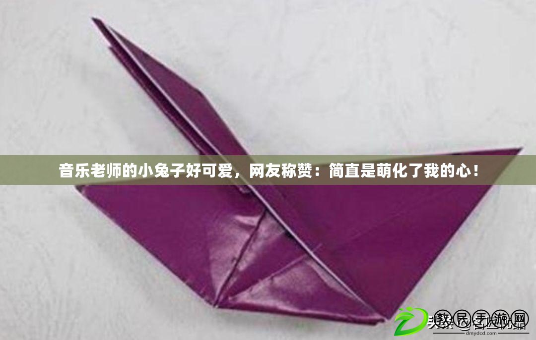 音樂老師的小兔子好可愛，網友稱贊：簡直是萌化了我的心！