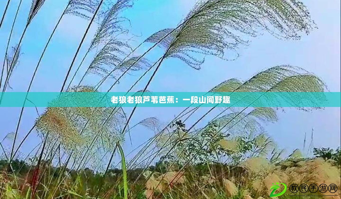 老狼老狼蘆葦芭蕉:一段山間野趣 老狼老狼蘆葦芭蕉:一段山間野趣