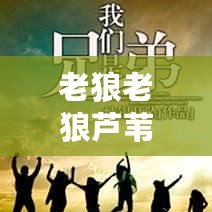 老狼老狼蘆葦芭蕉:光輝歲月 老狼老狼蘆葦芭蕉:光輝歲月