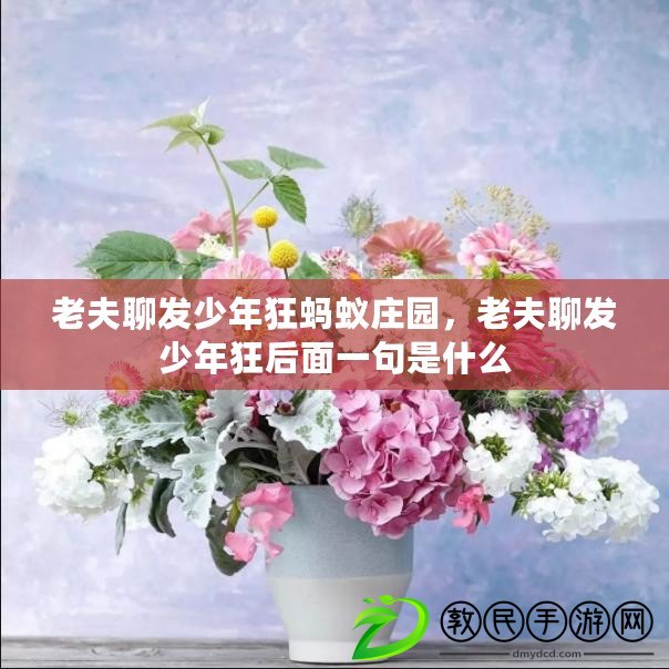 老夫聊發少年狂螞蟻莊園，老夫聊發少年狂后面一句是什么
