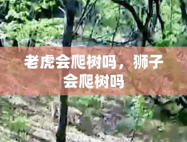 老虎會爬樹嗎，獅子會爬樹嗎