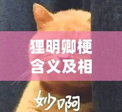 貍明卿梗含義及相關介紹 貍明卿梗含義及相關介紹