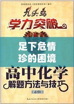 足下危情珍的困境怎么賺錢:突破之法 足下危情珍的困境怎么賺錢:突破之法