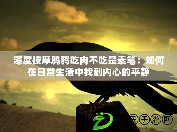 深度按摩鴉鴉吃肉不吃是素筆：如何在日常生活中找到內心的平靜