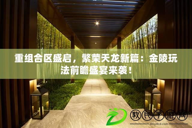 重組合區盛啟，繁榮天龍新篇：金陵玩法前瞻盛宴來襲！