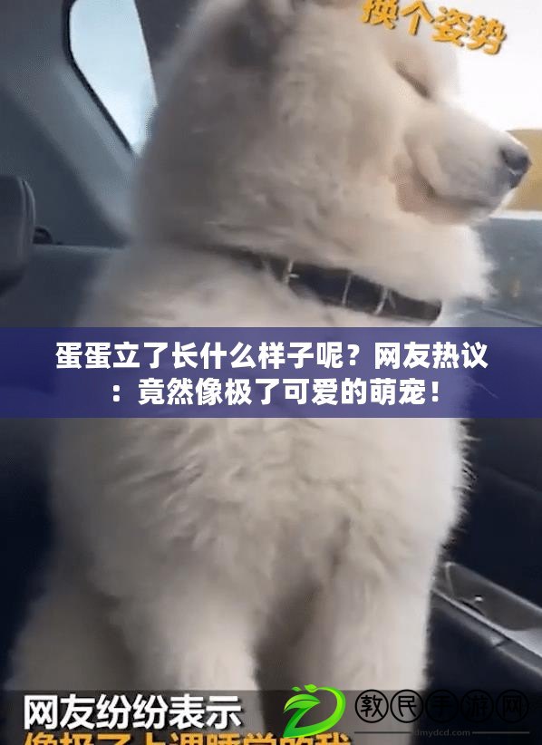 蛋蛋立了長什么樣子呢？網友熱議：竟然像極了可愛的萌寵！