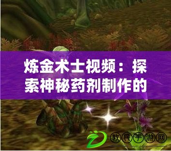 煉金術士視頻：探索神秘藥劑制作的奧秘?。嵏灿螒蚴澜纾捍蚱瞥Ｒ幍臒捊鹦g士視頻游戲體驗?。? title=