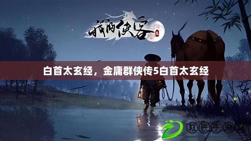 白首太玄經，金庸群俠傳5白首太玄經