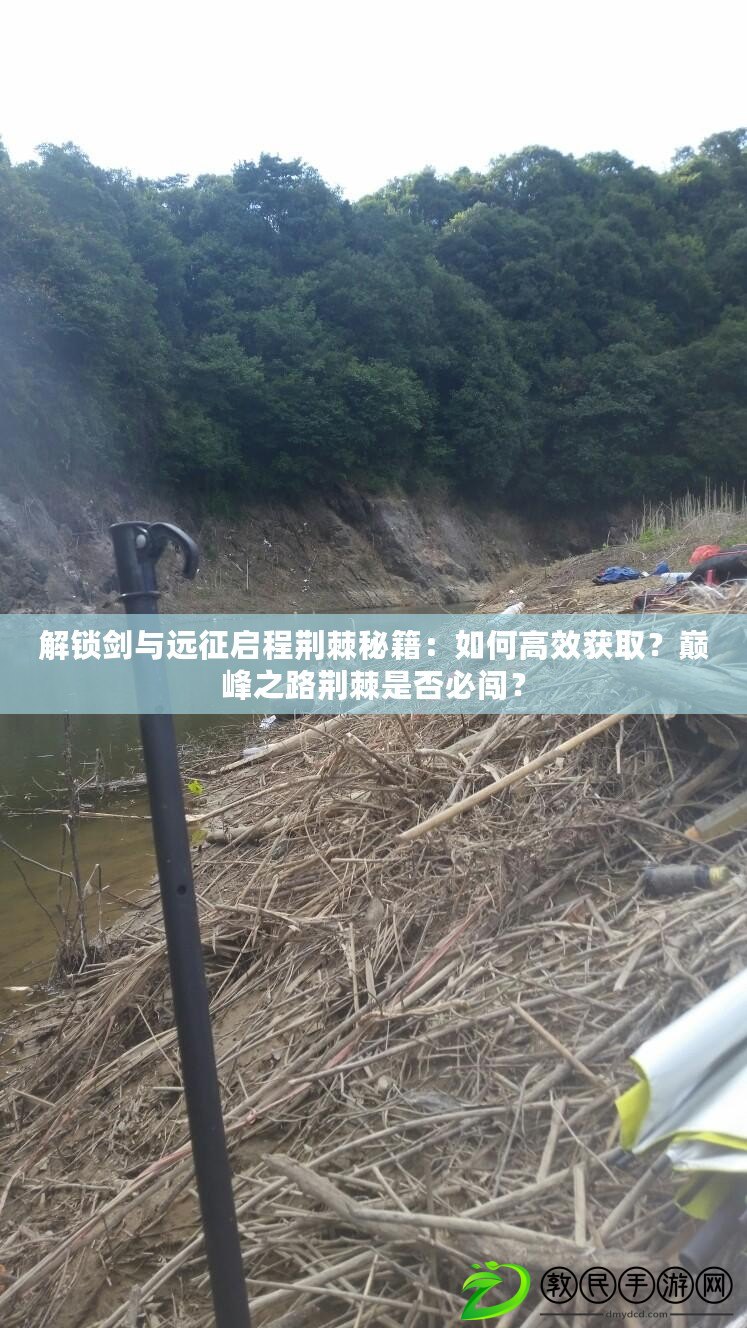 解鎖劍與遠征啟程荊棘秘籍：如何高效獲??？巔峰之路荊棘是否必闖？