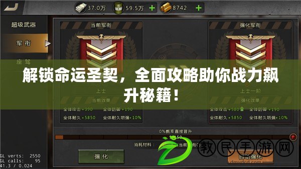 解鎖命運圣契，全面攻略助你戰力飆升秘籍！