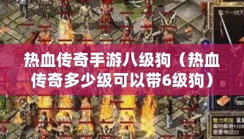 熱血傳奇手游八級狗(熱血傳奇多少級可以帶6級狗) 熱血傳奇手游八級狗(熱血傳奇多少級可以帶6級狗)