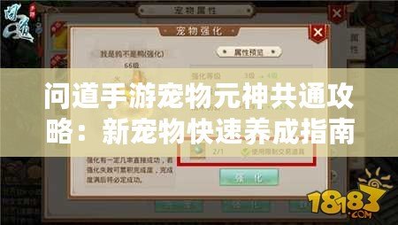問道手游寵物元神共通攻略：新寵物快速養成指南