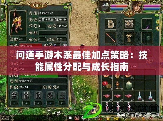 問道手游木系最佳加點策略：技能屬性分配與成長指南