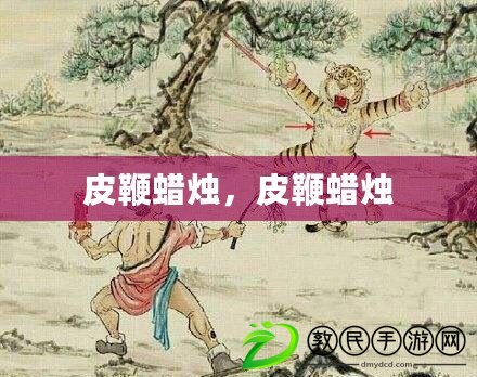皮鞭蠟燭，皮鞭蠟燭