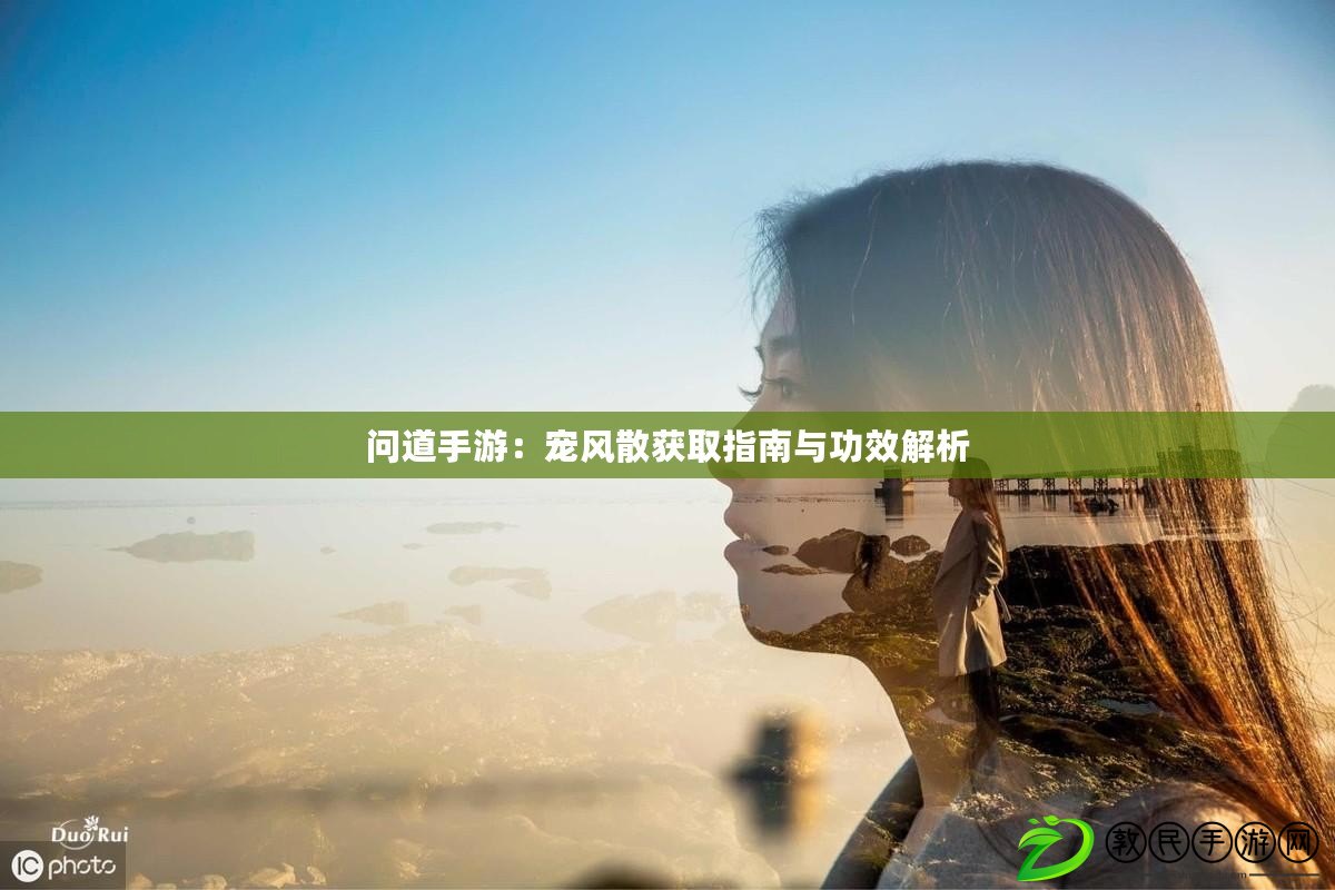 問道手游：寵風散獲取指南與功效解析