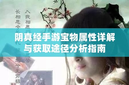 陰真經手游寶物屬性詳解與獲取途徑分析指南