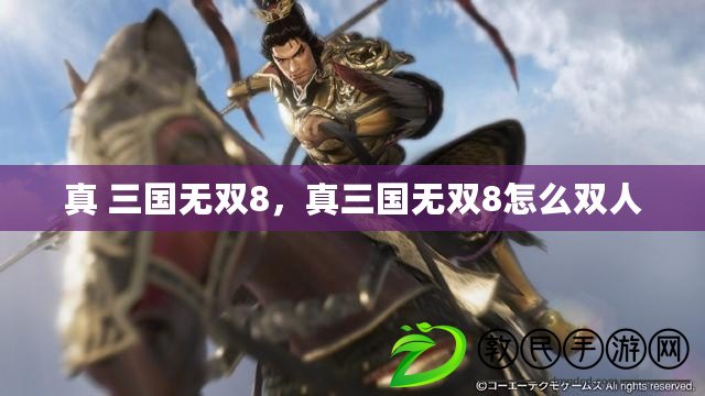 真 三國無雙8，真三國無雙8怎么雙人