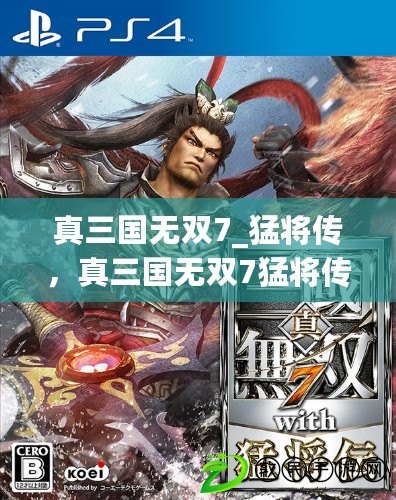 真三國無雙7_猛將傳，真三國無雙7猛將傳寶玉有什么用