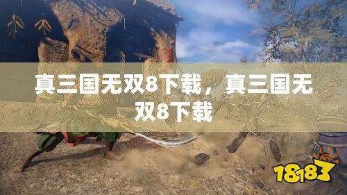 真三國無雙8下載，真三國無雙8下載