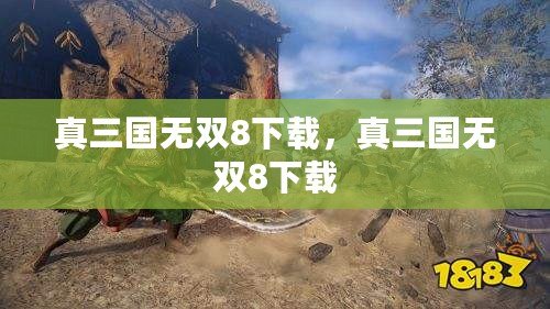 真三國無雙8下載，真三國無雙8下載