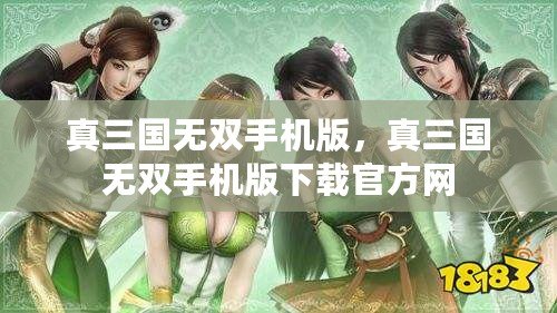 真三國無雙手機版，真三國無雙手機版下載官方網