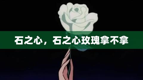 石之心，石之心玫瑰拿不拿