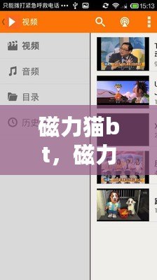 磁力貓bt，磁力貓bt