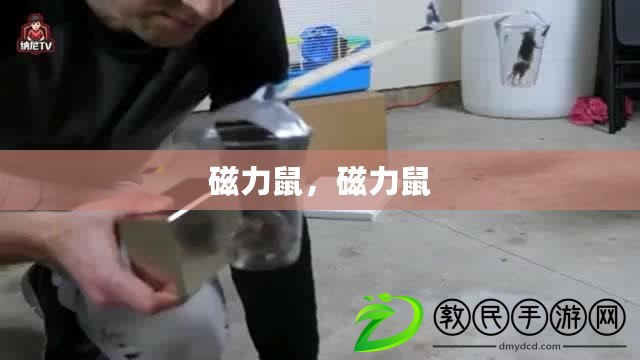 磁力鼠，磁力鼠