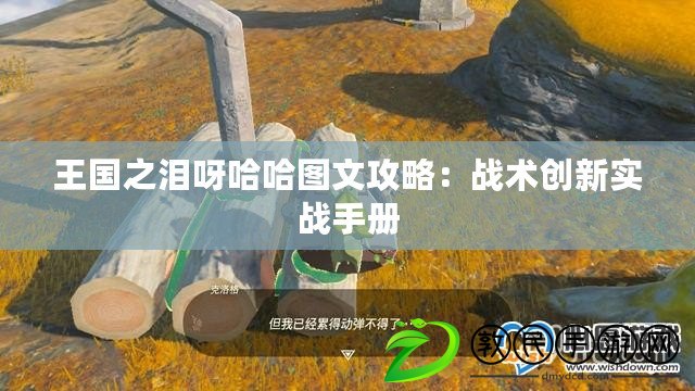 王國之淚呀哈哈圖文攻略：戰術創新實戰手冊