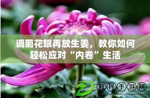 調菊花眼再放生姜，教你如何輕松應對“內卷”生活