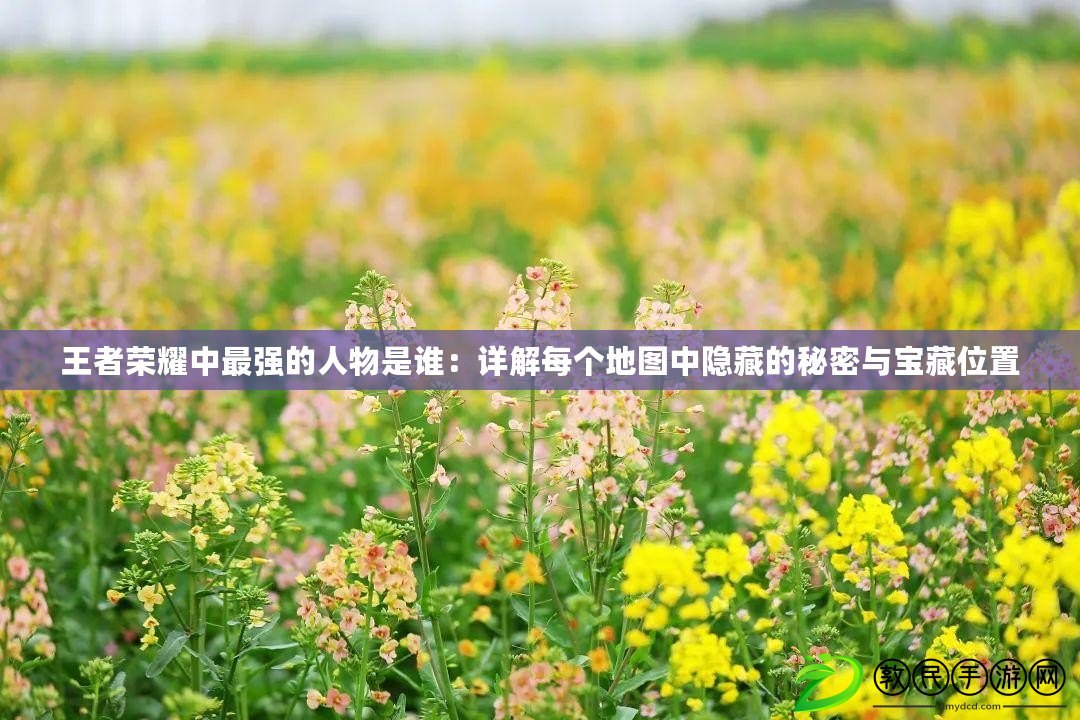 王者榮耀中最強的人物是誰:詳解每個地圖中隱藏的秘密與寶藏位置 王者榮耀中最強的人物是誰:詳解每個地圖中隱藏的秘密與寶藏位置