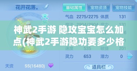 神武2手游 隱攻寶寶怎么加點(神武2手游隱功要多少格子)