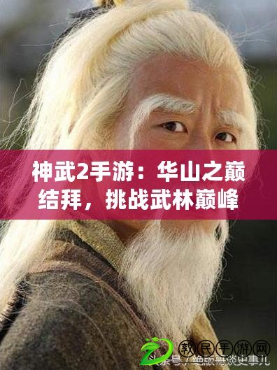 神武2手游：華山之巔結拜，挑戰武林巔峰?。O限挑戰！神武2手游結拜條件，破解誰是華山第一高手？）