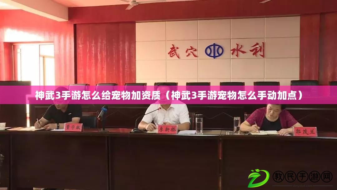 神武3手游怎么給寵物加資質（神武3手游寵物怎么手動加點）