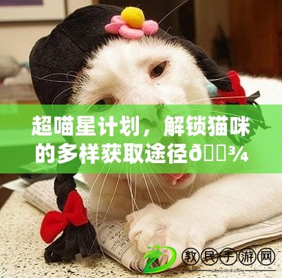 超喵星計劃，解鎖貓咪的多樣獲取途徑??