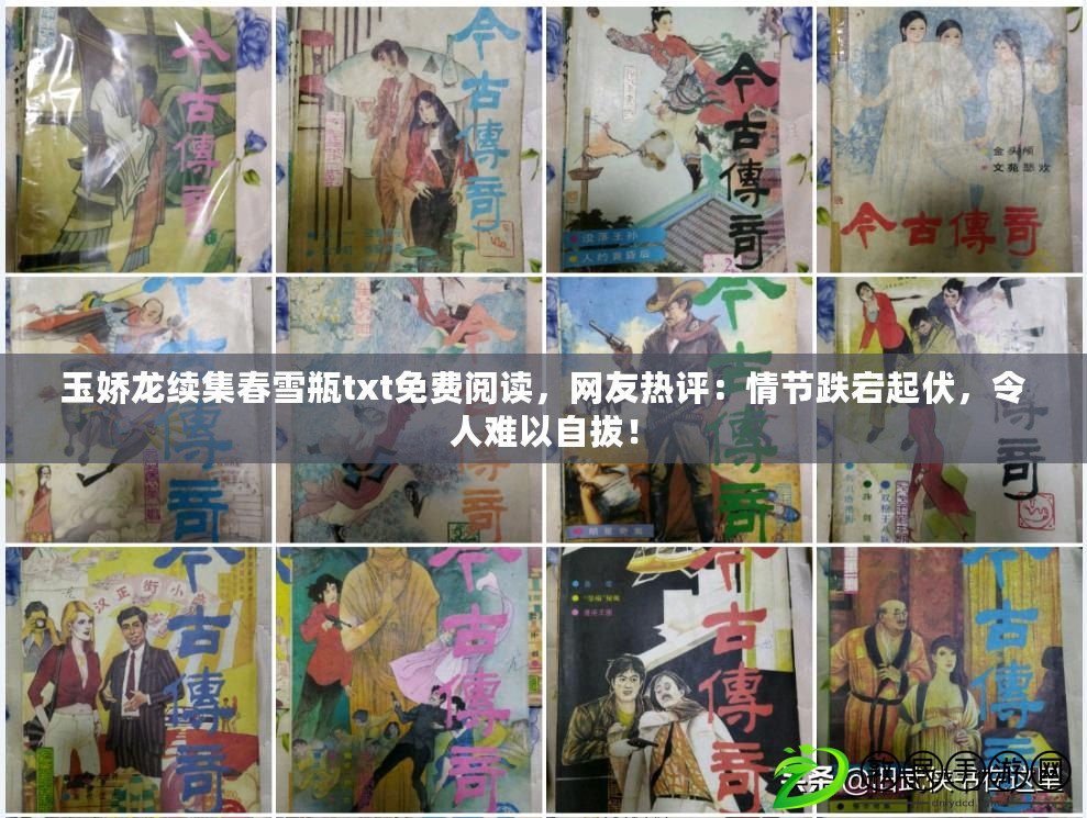 玉嬌龍續集春雪瓶txt免費閱讀，網友熱評：情節跌宕起伏，令人難以自拔！