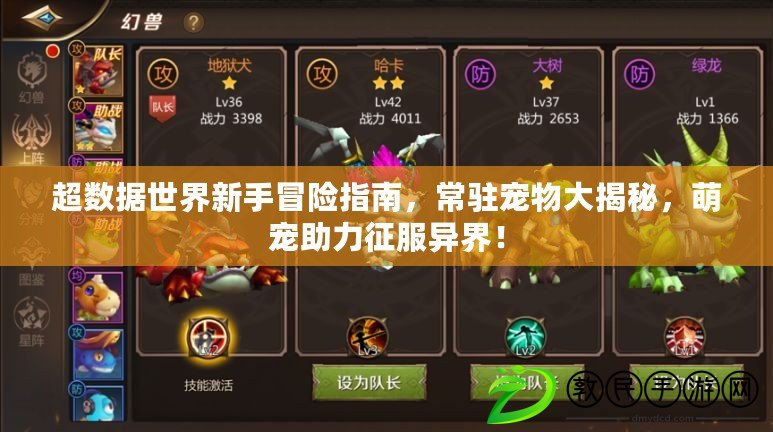 超數據世界新手冒險指南，常駐寵物大揭秘，萌寵助力征服異界！