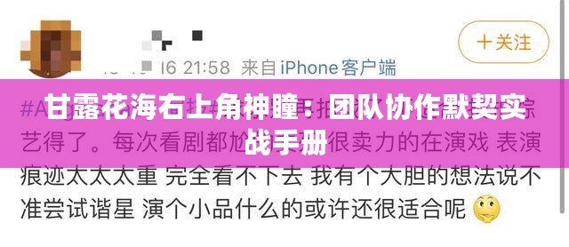 甘露花海右上角神瞳：團隊協作默契實戰手冊