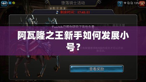 阿瓦隆之王新手如何發展小號？