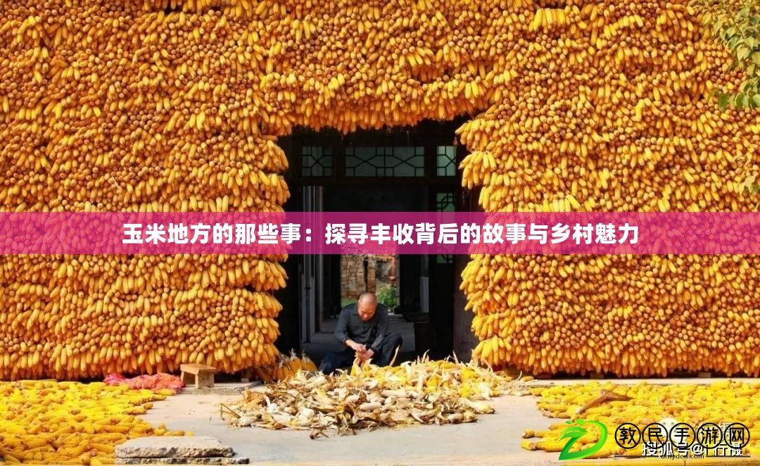 玉米地方的那些事：探尋豐收背后的故事與鄉村魅力