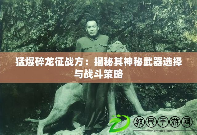 猛爆碎龍征戰方：揭秘其神秘武器選擇與戰斗策略
